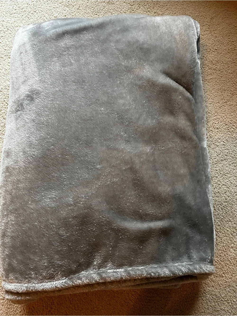 Twin plush blanket